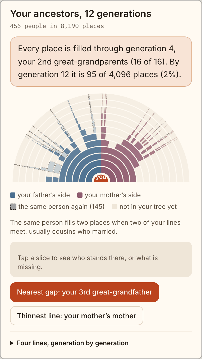The fan card, twelve generations of Elizabeth II's ancestors from a published tree: 456 people, every place filled through generation 4, and by generation 12 it is 95 of 4,096 places. Nearest gap: her 3rd great-grandfather.